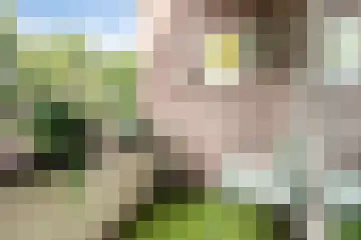 Vincent van Goghstraat 43 Nuenen thumbnail 16