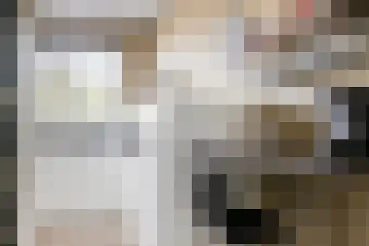 Vincent van Goghstraat 43 Nuenen thumbnail 22