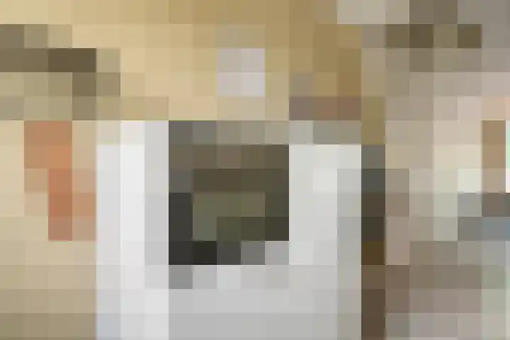Vincent van Goghstraat 43 Nuenen thumbnail 26