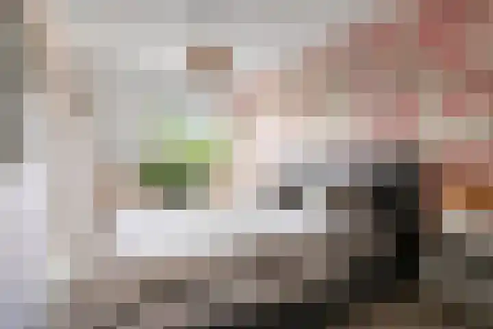 Vincent van Goghstraat 43 Nuenen thumbnail 28