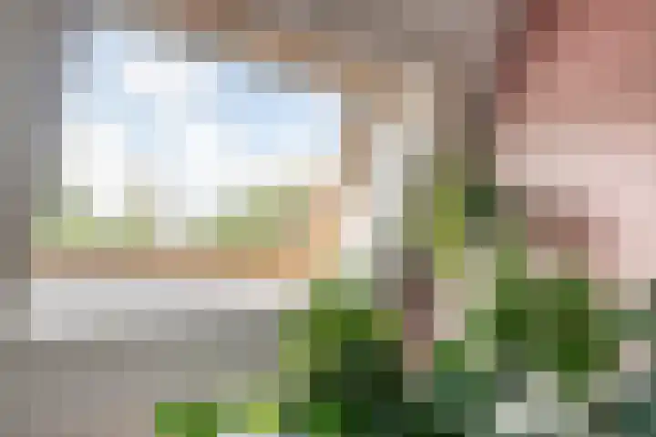 Vincent van Goghstraat 43 Nuenen thumbnail 29