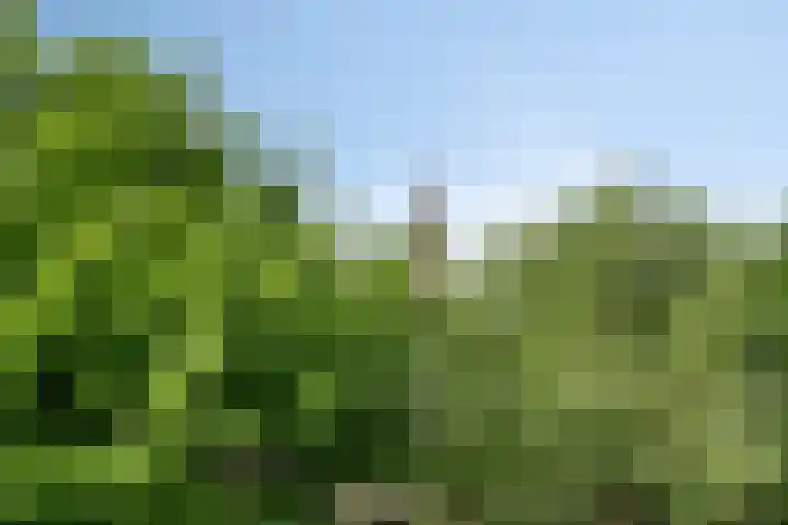 Vincent van Goghstraat 43 Nuenen thumbnail 30