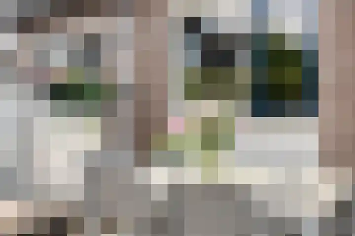 Vincent van Goghstraat 43 Nuenen thumbnail 41