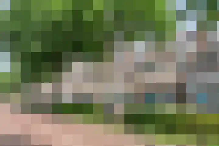 Vincent van Goghstraat 43 Nuenen thumbnail 6