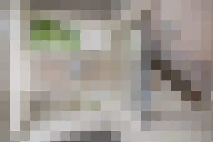 Vincent van Goghstraat 43 Nuenen thumbnail 8