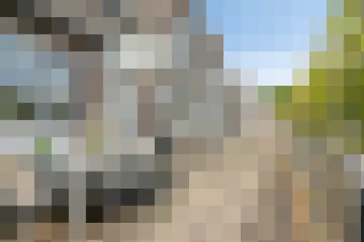 Vincent van Goghstraat 43 Nuenen thumbnail 9