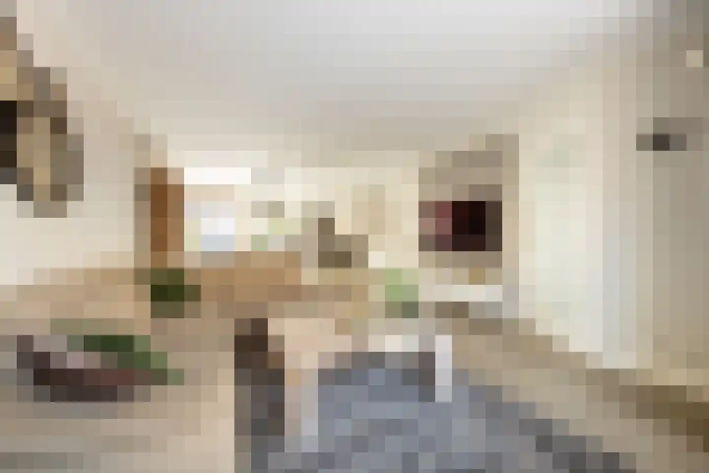 Vincent van Goghstraat 43 Volendam thumbnail 10