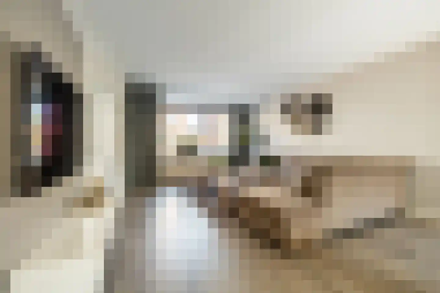 Vincent van Goghstraat 43 Volendam thumbnail 12