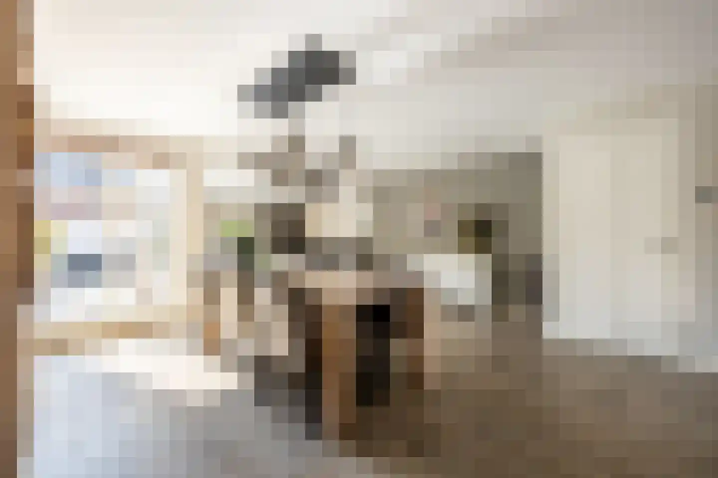 Vincent van Goghstraat 43 Volendam thumbnail 13