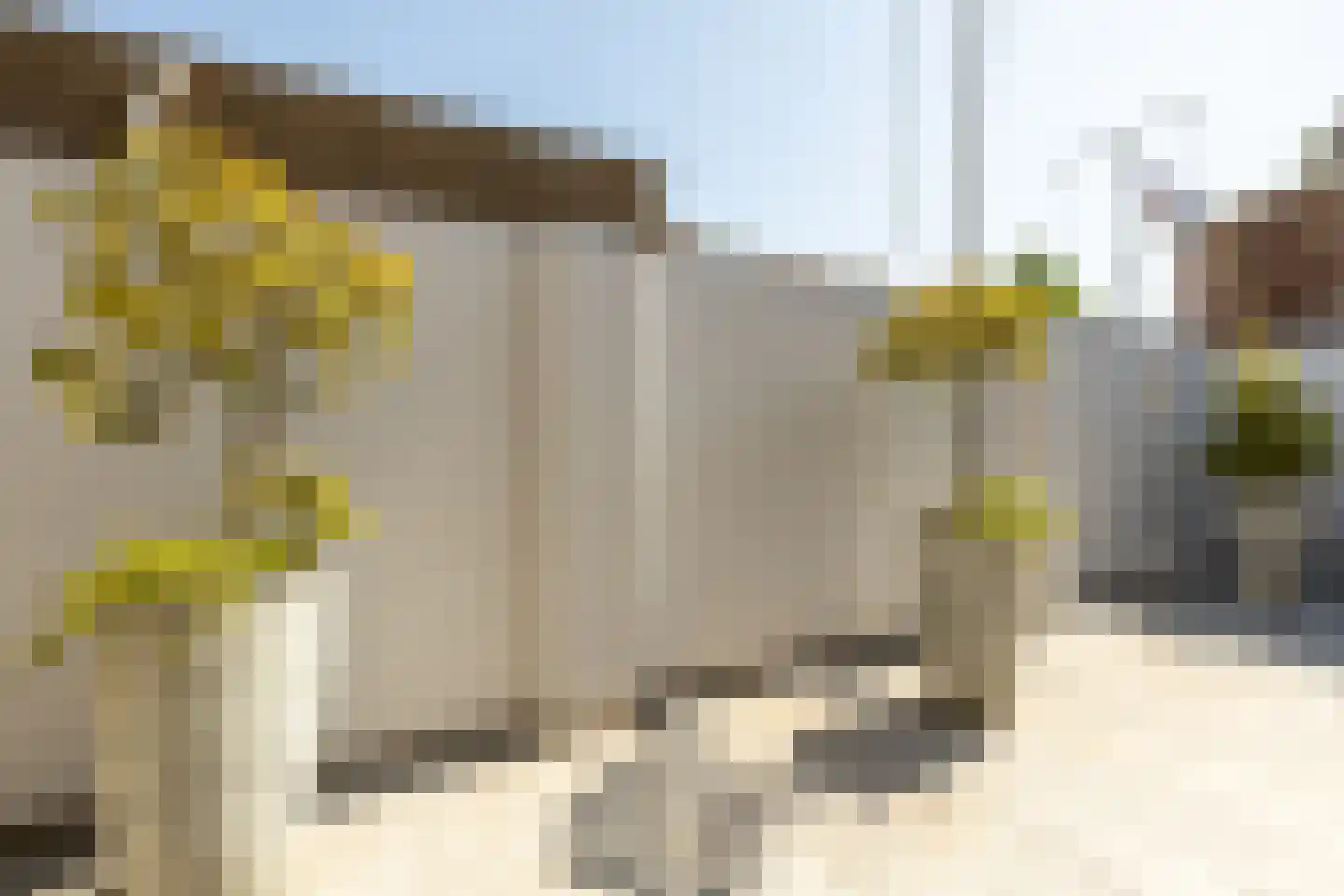 Vincent van Goghstraat 43 Volendam thumbnail 30