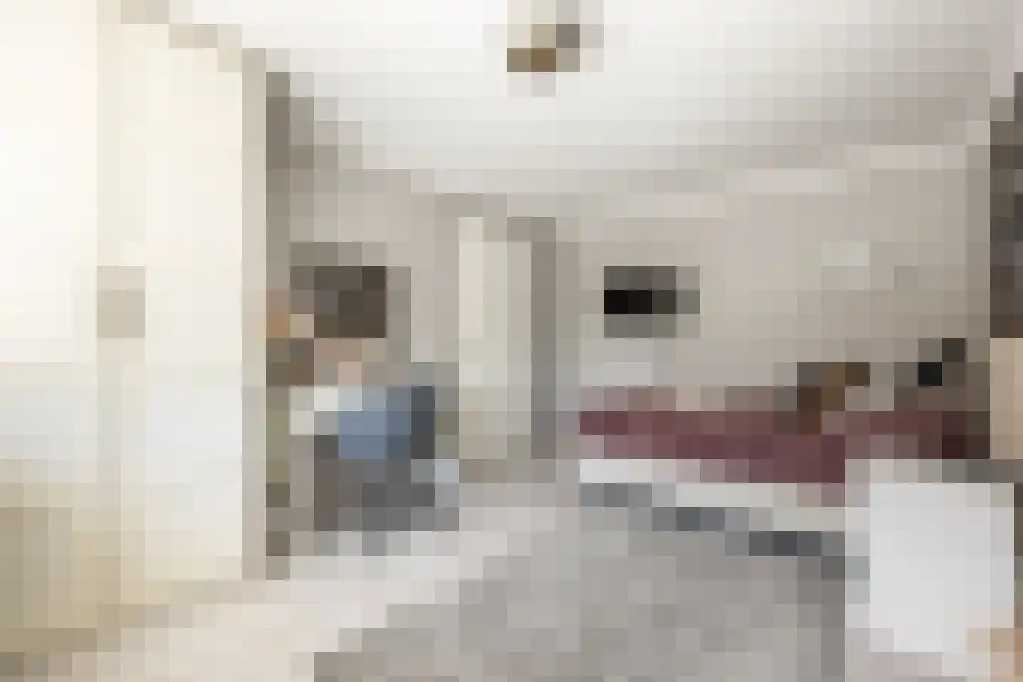 Vincent van Goghstraat 43 Volendam thumbnail 38