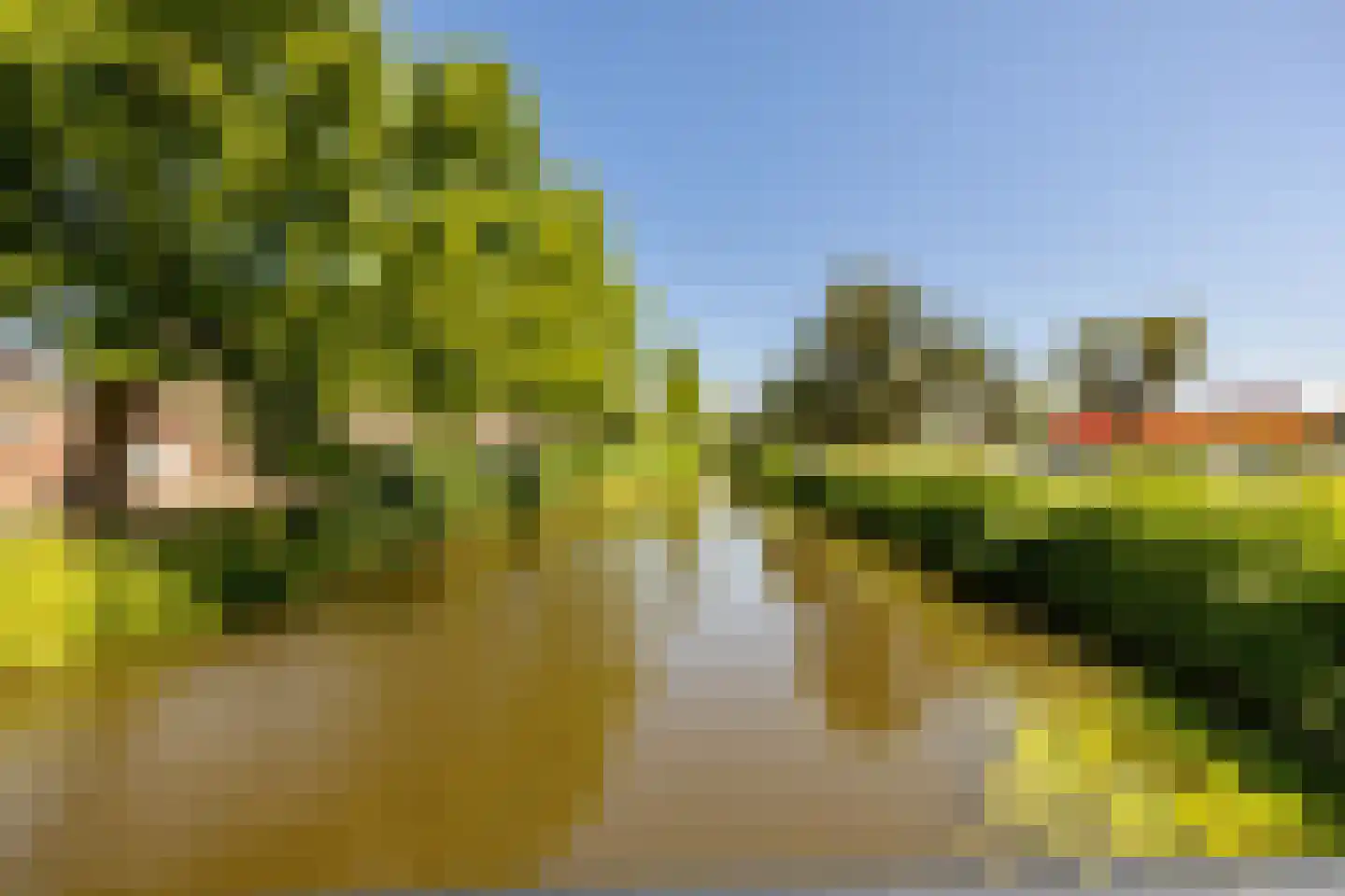 Vincent van Goghstraat 43 Volendam thumbnail 53