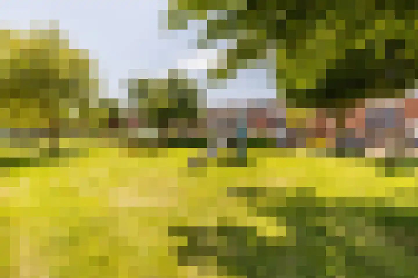 Vincent van Goghstraat 43 Volendam thumbnail 54