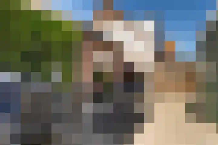 Vincent van Goghstraat 44 Leeuwarden thumbnail 23