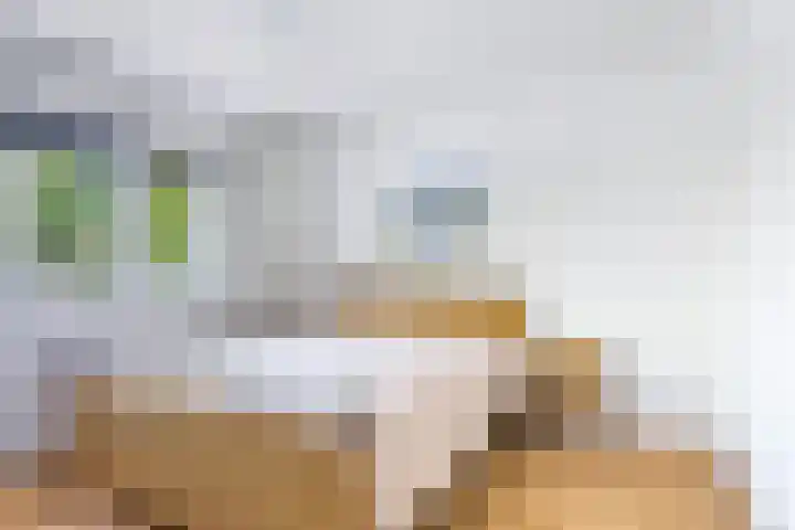 Vincent van Goghstraat 44 Leeuwarden thumbnail 33