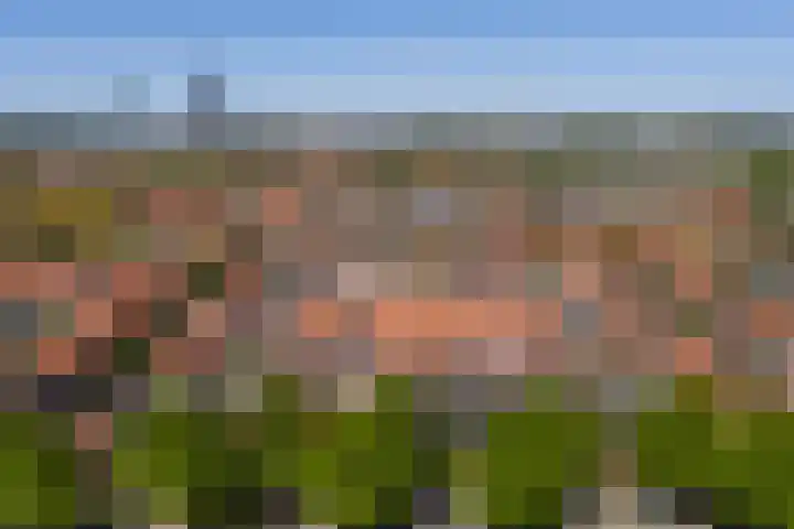 Vincent van Goghstraat 44 Leeuwarden thumbnail 43