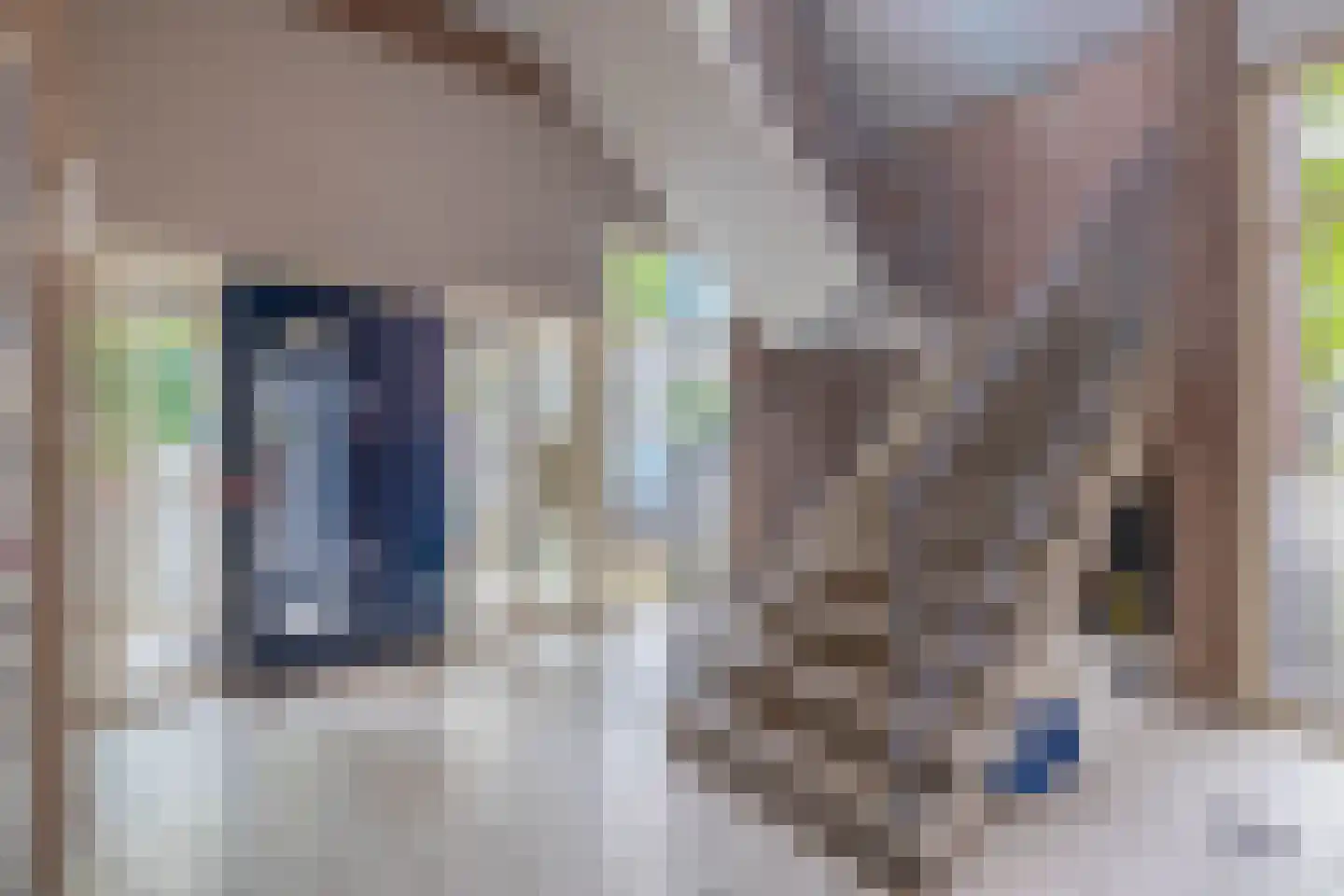 Vincent van Goghstraat 47 Nuenen thumbnail 7