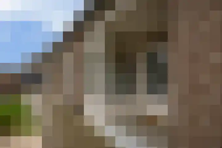 Vincent van Goghstraat 5 A Nuenen thumbnail 17