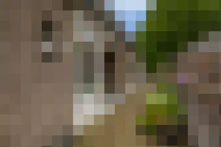 Vincent van Goghstraat 5 A Nuenen thumbnail 18