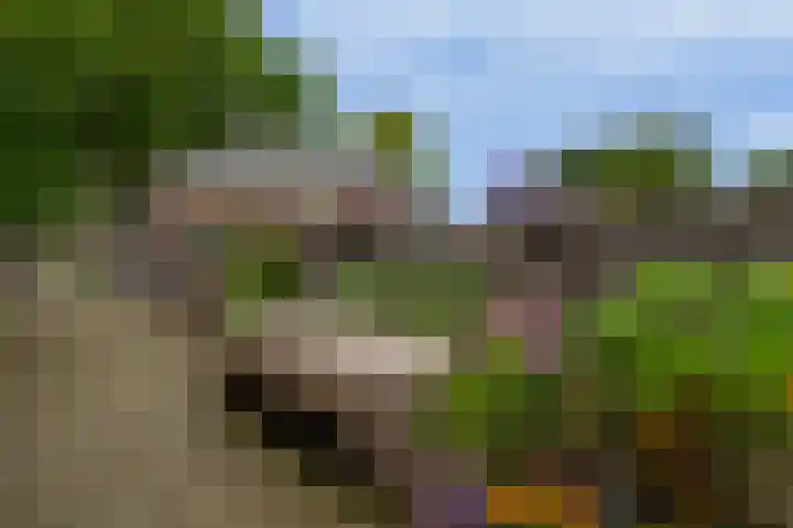 Vincent van Goghstraat 5 A Nuenen thumbnail 19