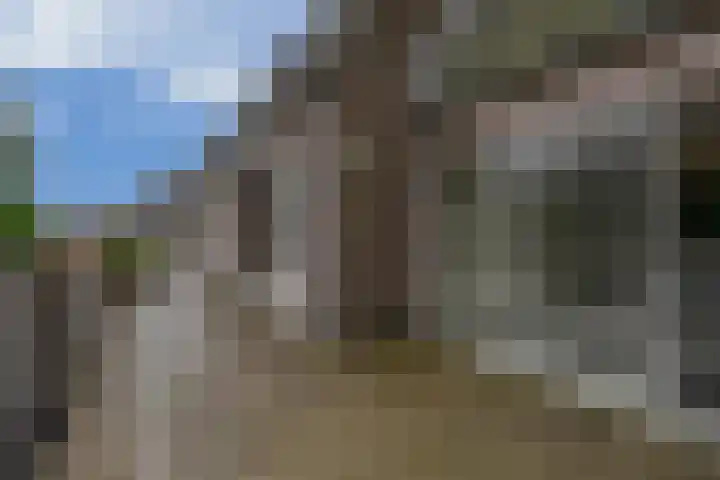 Vincent van Goghstraat 5 A Nuenen thumbnail 21