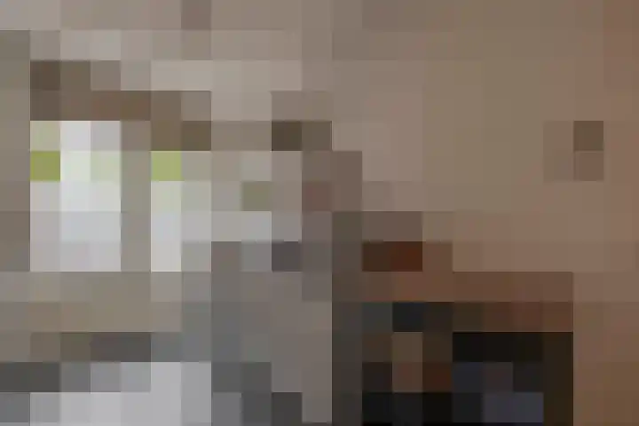 Vincent van Goghstraat 5 A Nuenen thumbnail 28