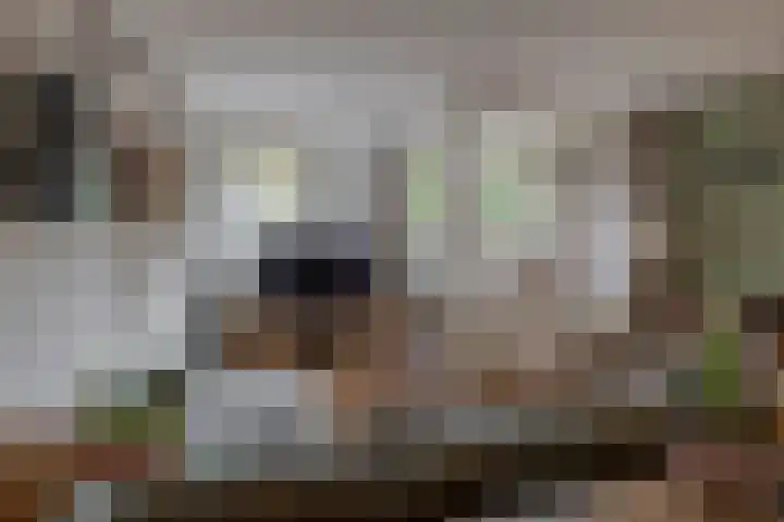 Vincent van Goghstraat 5 A Nuenen thumbnail 33