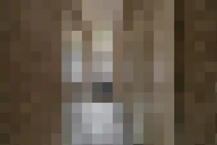 Vincent van Goghstraat 5 A Nuenen thumbnail 44