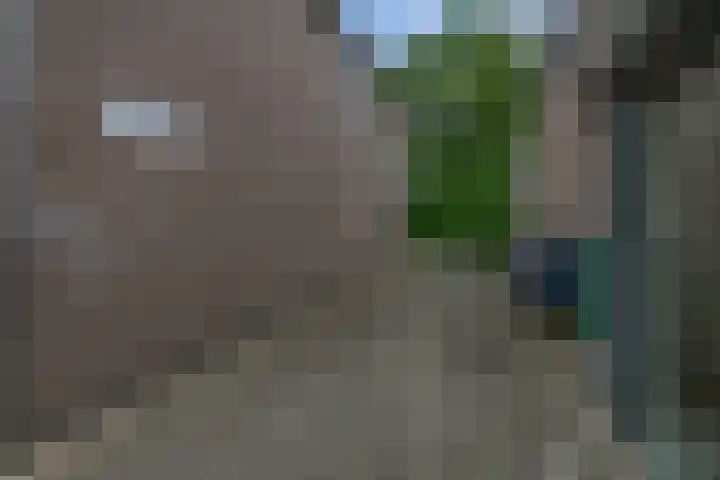 Vincent van Goghstraat 5 A Nuenen thumbnail 46
