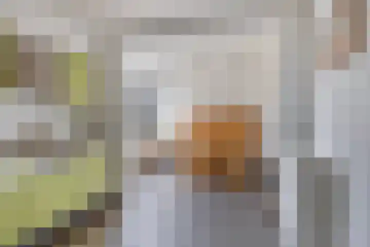 Vincent van Goghstraat 5 Heesch thumbnail 14