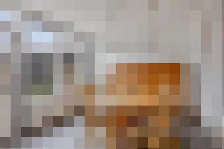 Vincent van Goghstraat 5 Heesch thumbnail 16