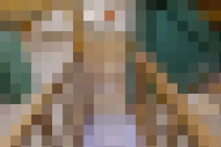 Vincent van Goghstraat 5 Heesch thumbnail 29