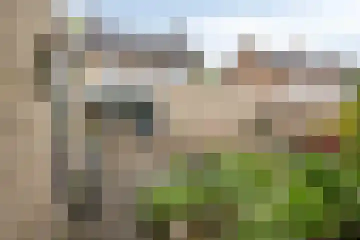 Vincent van Goghstraat 5 Heesch thumbnail 33