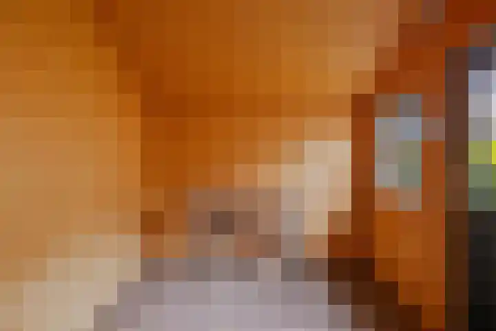 Vincent van Goghstraat 5 Heesch thumbnail 35