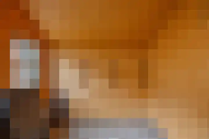Vincent van Goghstraat 5 Heesch thumbnail 36