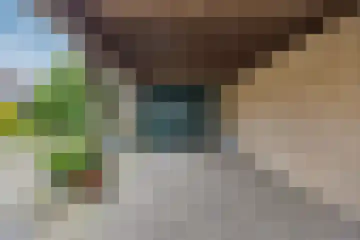Vincent van Goghstraat 5 Heesch thumbnail 37