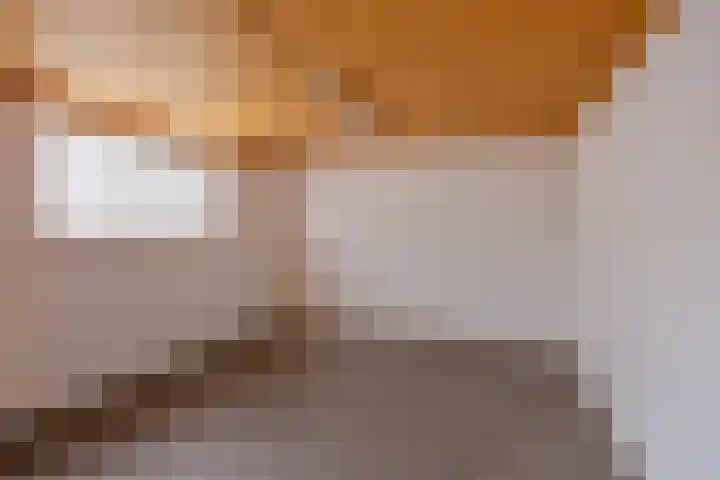 Vincent van Goghstraat 5 Heesch thumbnail 38
