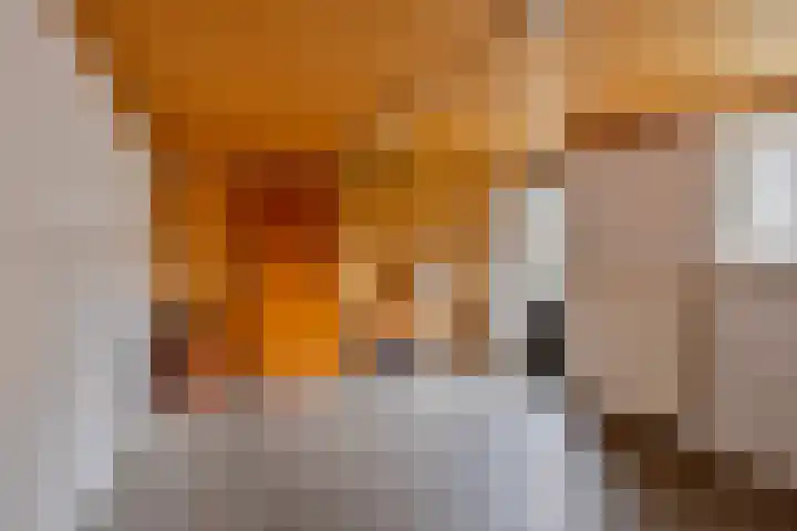 Vincent van Goghstraat 5 Heesch thumbnail 39