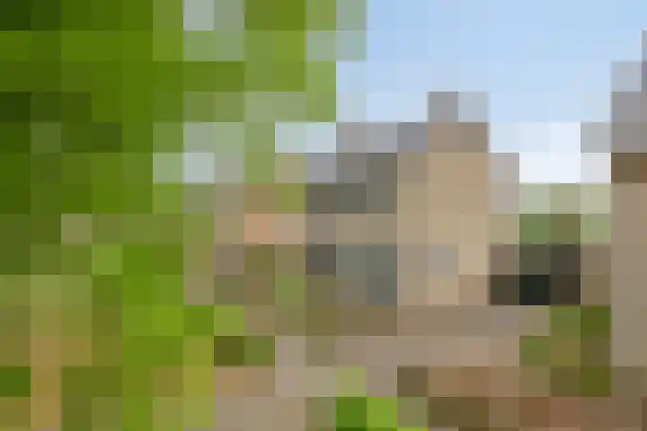 Vincent van Goghstraat 5 Heesch thumbnail 42