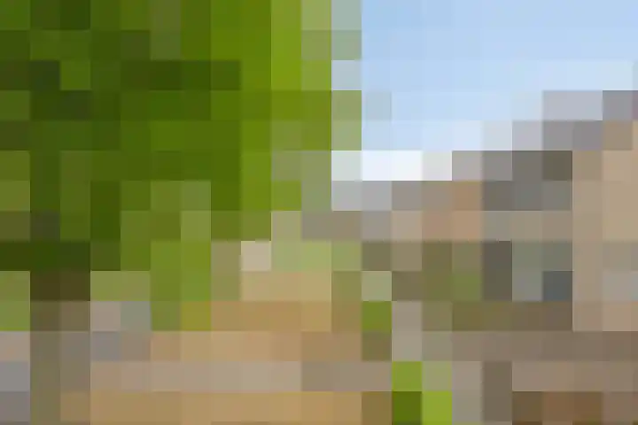 Vincent van Goghstraat 5 Heesch thumbnail 43