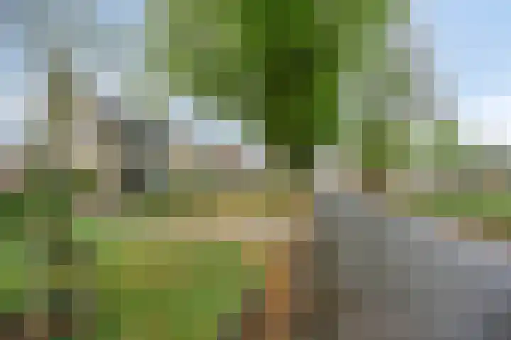 Vincent van Goghstraat 5 Heesch thumbnail 44