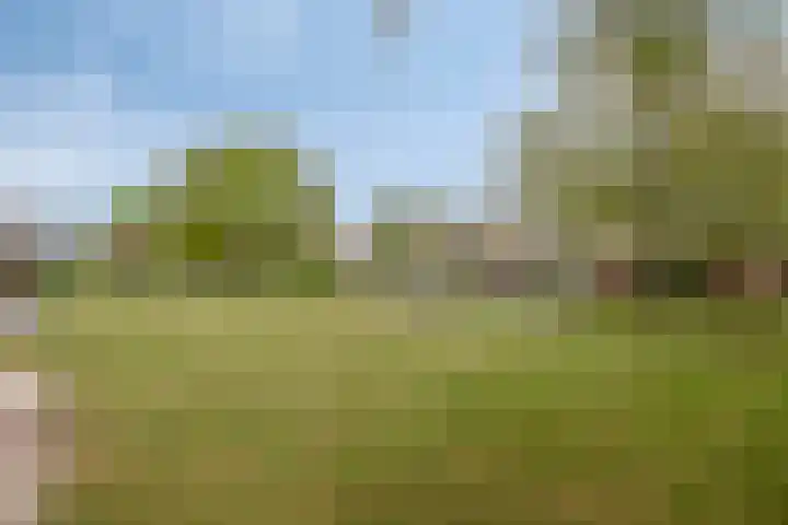 Vincent van Goghstraat 5 Heesch thumbnail 47
