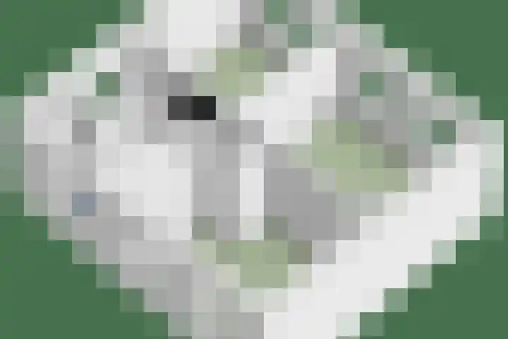 Vincent van Goghstraat 5 Heesch thumbnail 53