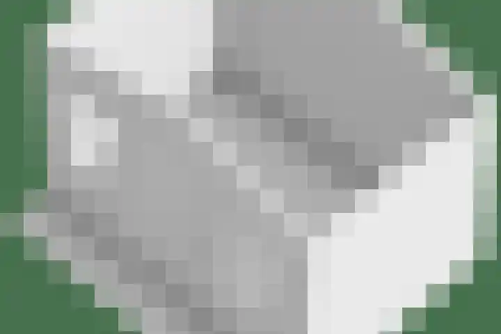 Vincent van Goghstraat 5 Heesch thumbnail 57