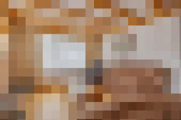 Vincent van Goghstraat 5 Heesch thumbnail 7