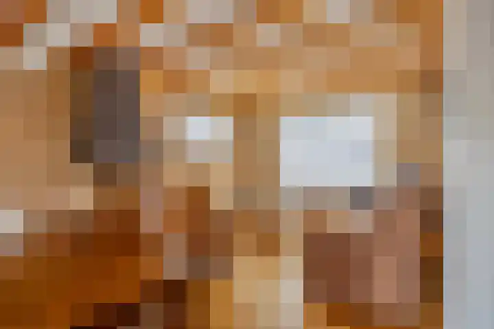 Vincent van Goghstraat 5 Heesch thumbnail 8