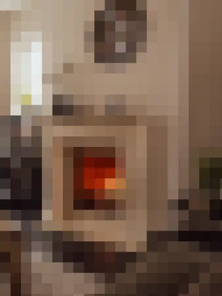 Vincent van Goghstraat 5 Raamsdonksveer thumbnail 11