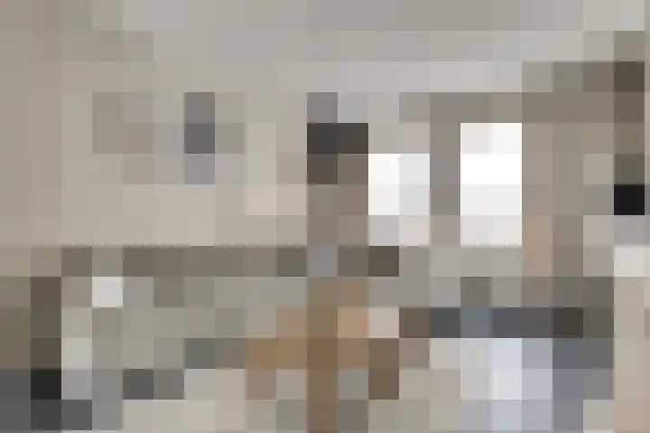Vincent van Goghstraat 5 Raamsdonksveer thumbnail 12