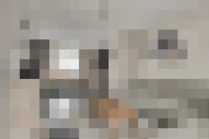 Vincent van Goghstraat 5 Raamsdonksveer thumbnail 13