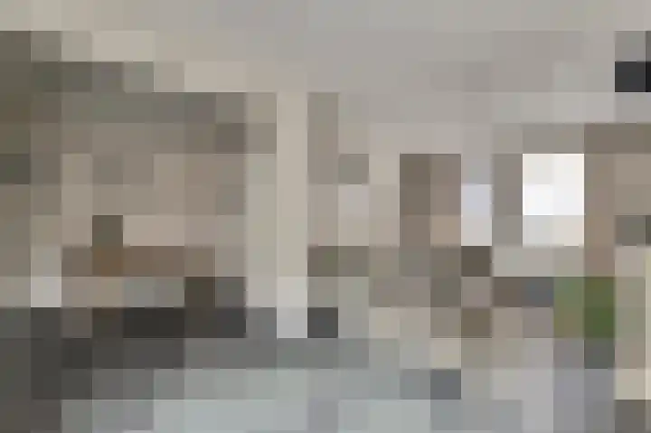 Vincent van Goghstraat 5 Raamsdonksveer thumbnail 14